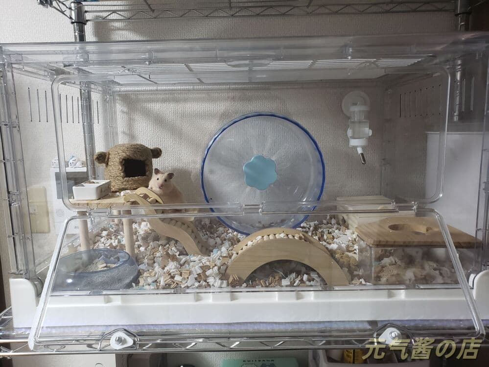 完全透明大型アクリルケージ ハムスターモルモット用 70.5x43.5x39cm