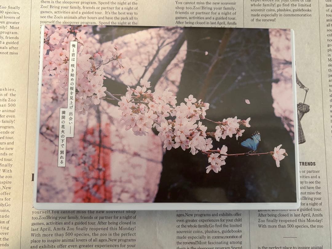 君とゆきて咲く～新選組青春録～ / DVD BOX