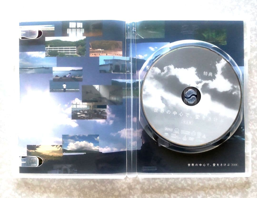 【美品】世界の中心で、愛を叫ぶ　完全版dvd box カセット付き