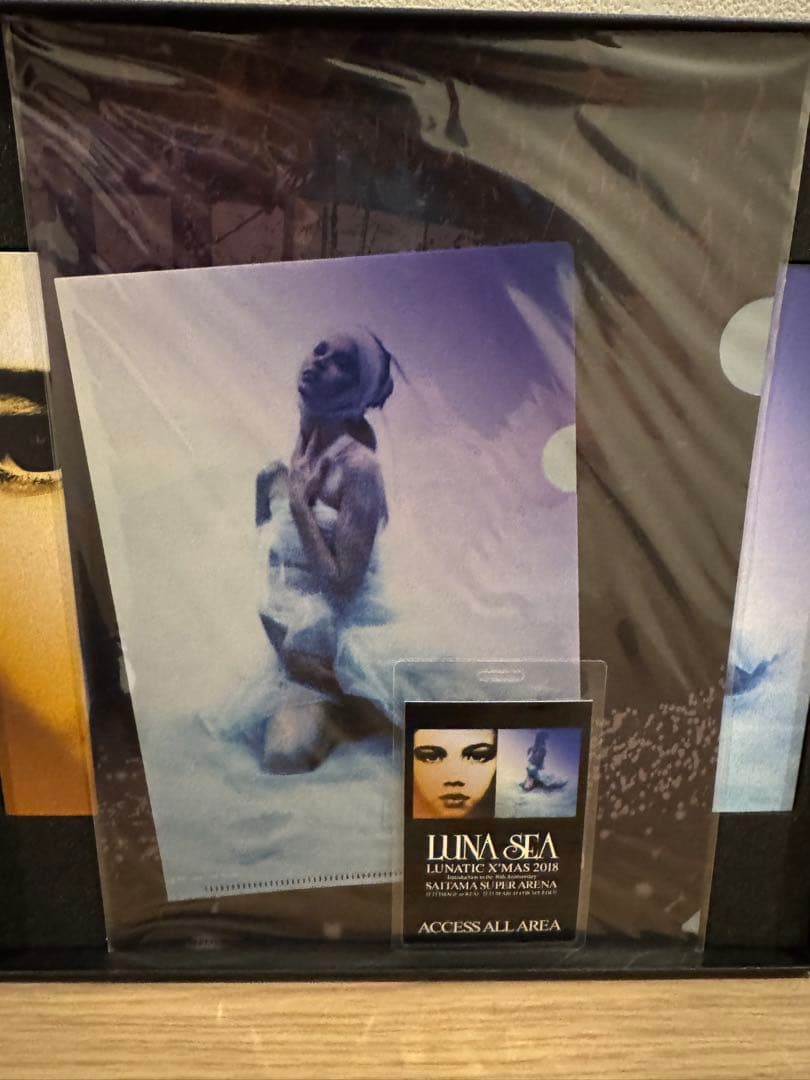 LUNA SEA LUNATIC X'MAS 2018 DVD 【美品】