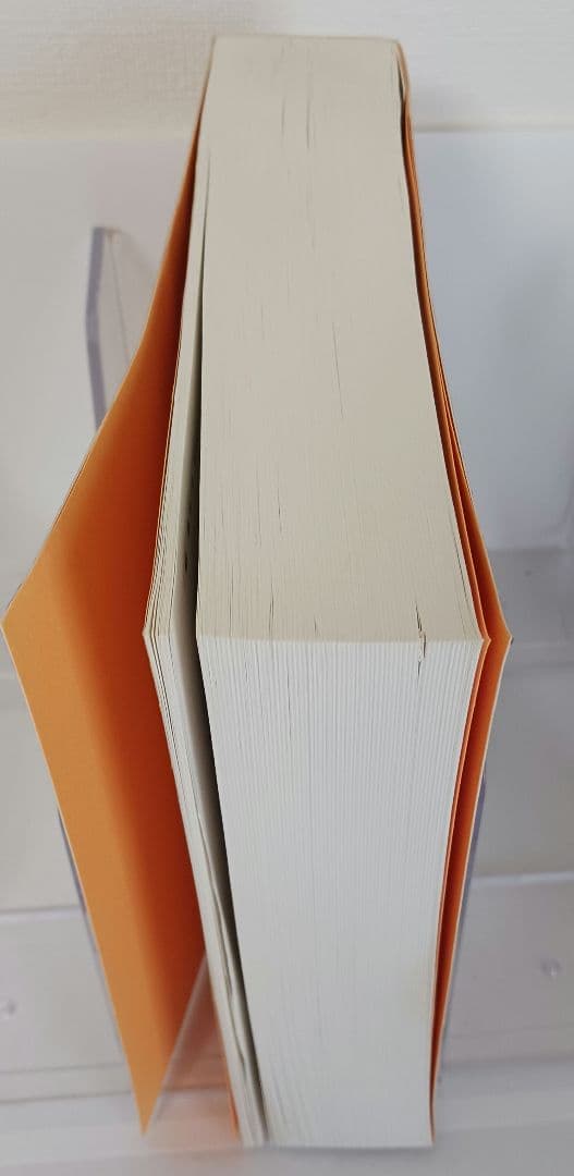 Delphi Win32APIリファレンス CD有り アスキー出版局 絶版美品