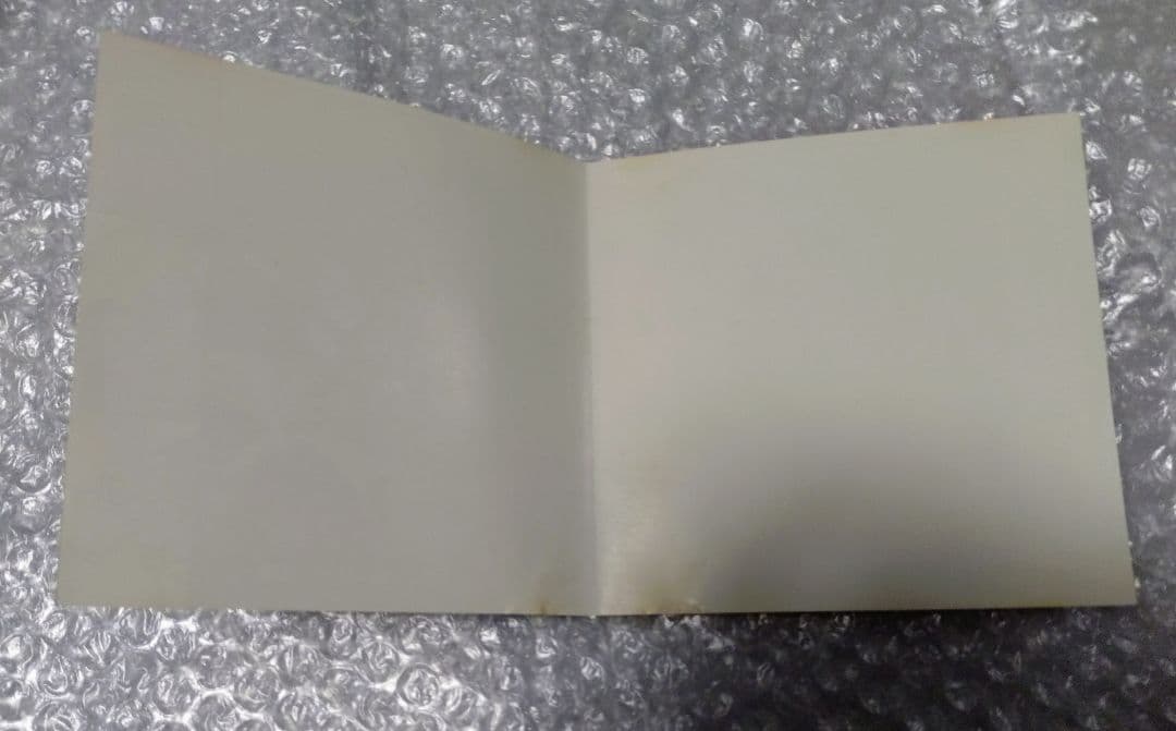 ザナドゥ～ドラゴンスレイヤー伝説～ VCD ビデオCD