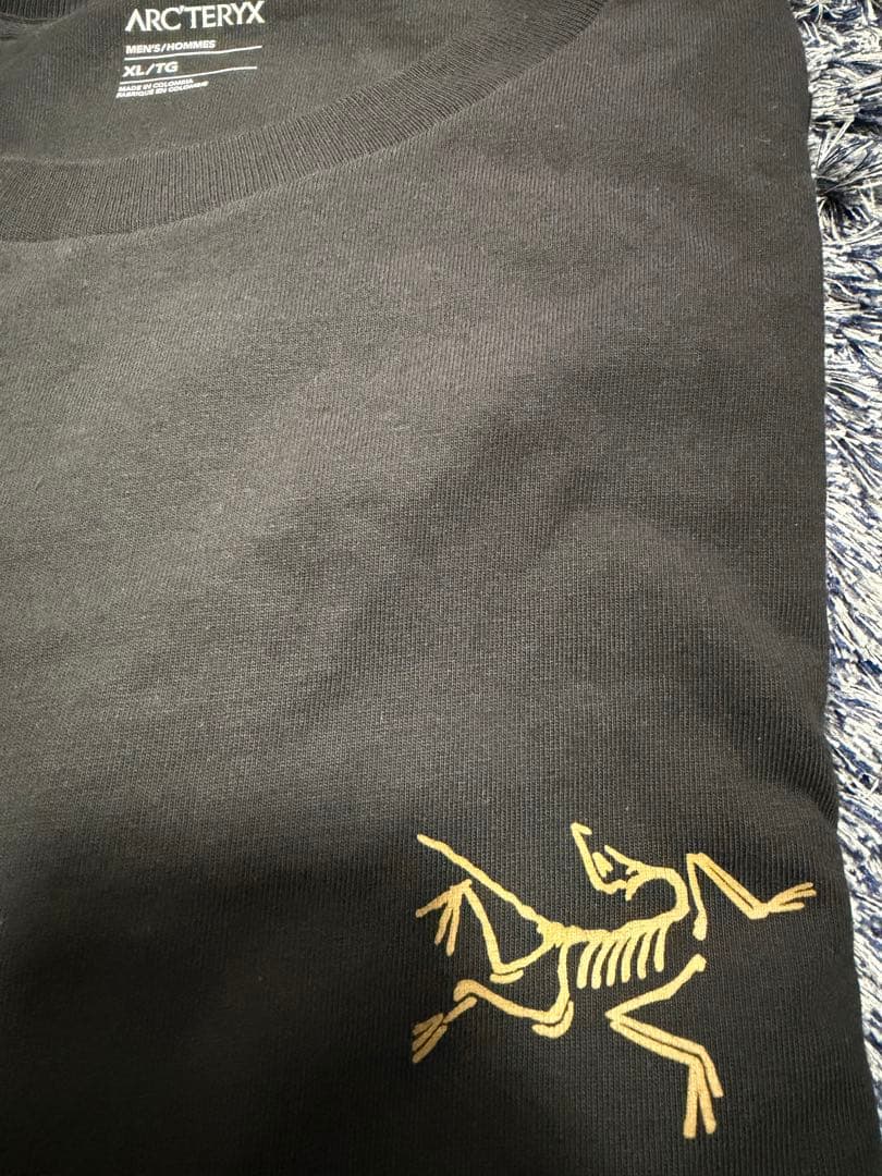 ARC’TERYX kragg Lサイズ 長袖 ロンT