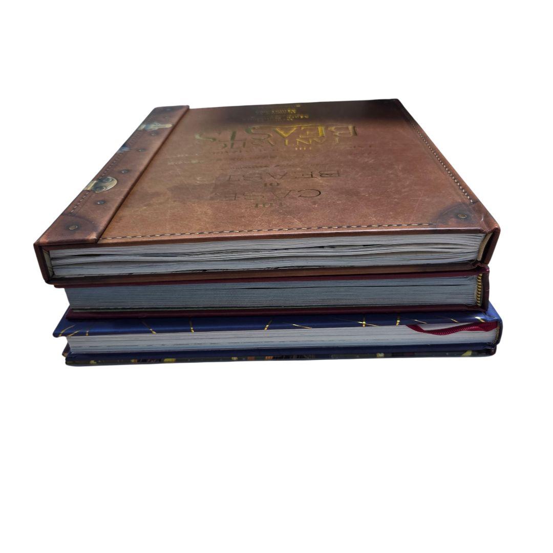 ハリー・ポッター ファンタスティックビースト 大判 4冊セット