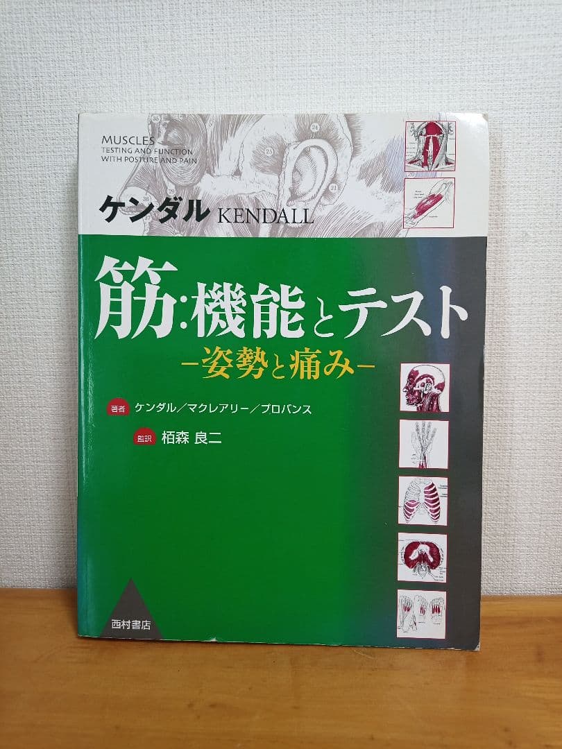 ケンダル 筋・機能とテスト -姿勢と痛み-