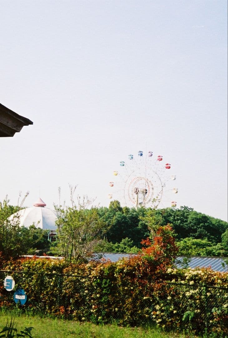 ☆美品・作例有☆ Canon demi EE17 露出計動作品