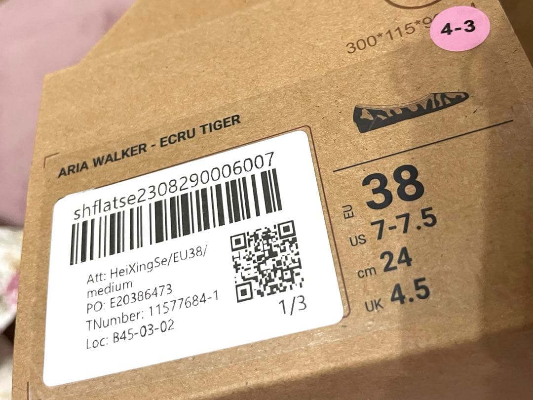 VIVAIA ホワイトタイガー　24cm