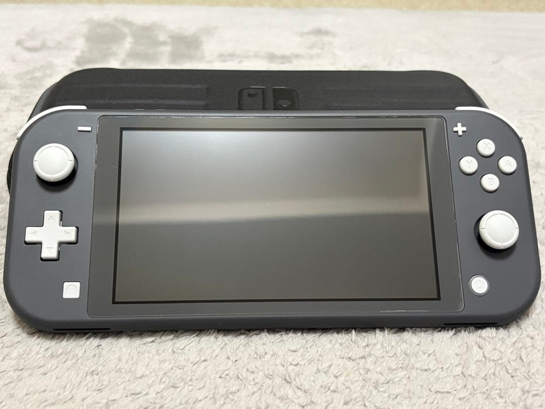 Nintendo Switch Lite グレー 本体（おまけ付き）