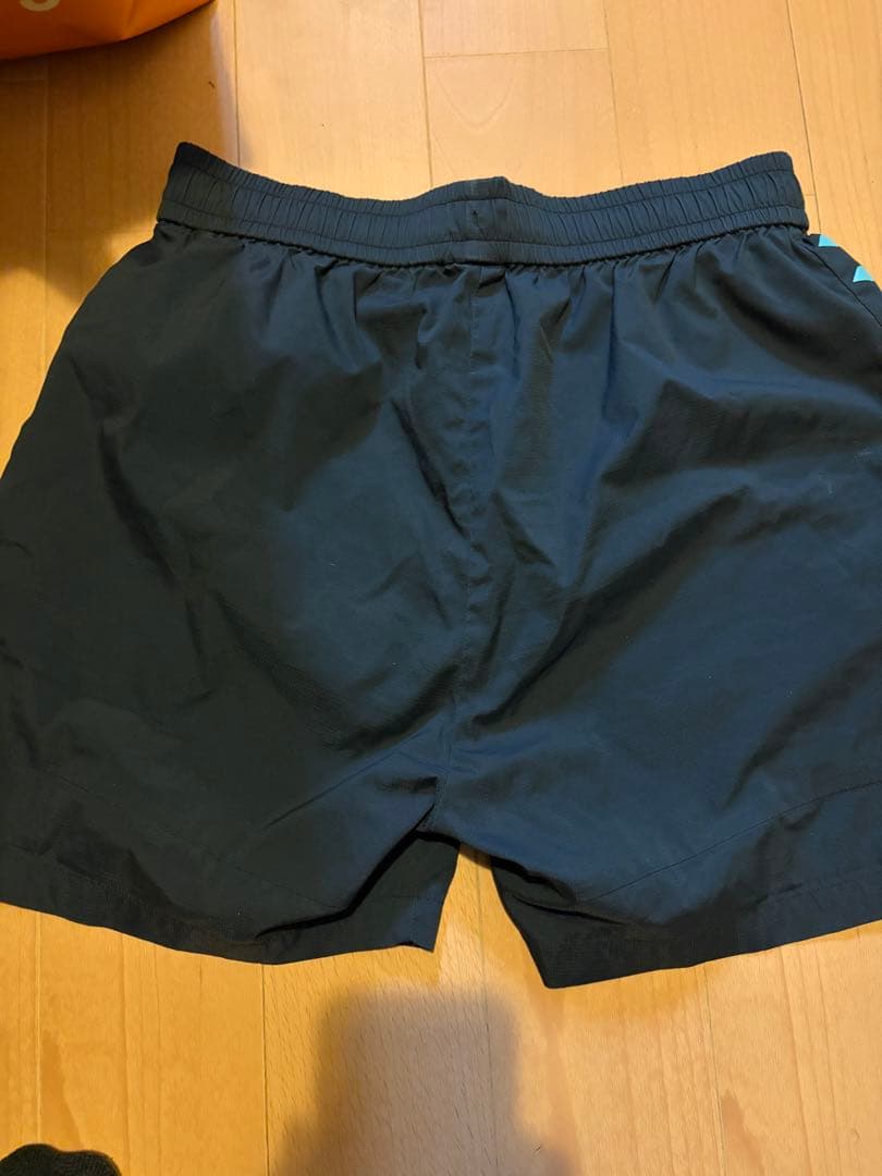 arenaハーフパンツ 競泳日本代表