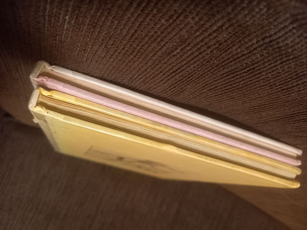 初版　絶版　小さな魔女ドリー　ドリーと悪魔のわるだくみ　／　除籍本