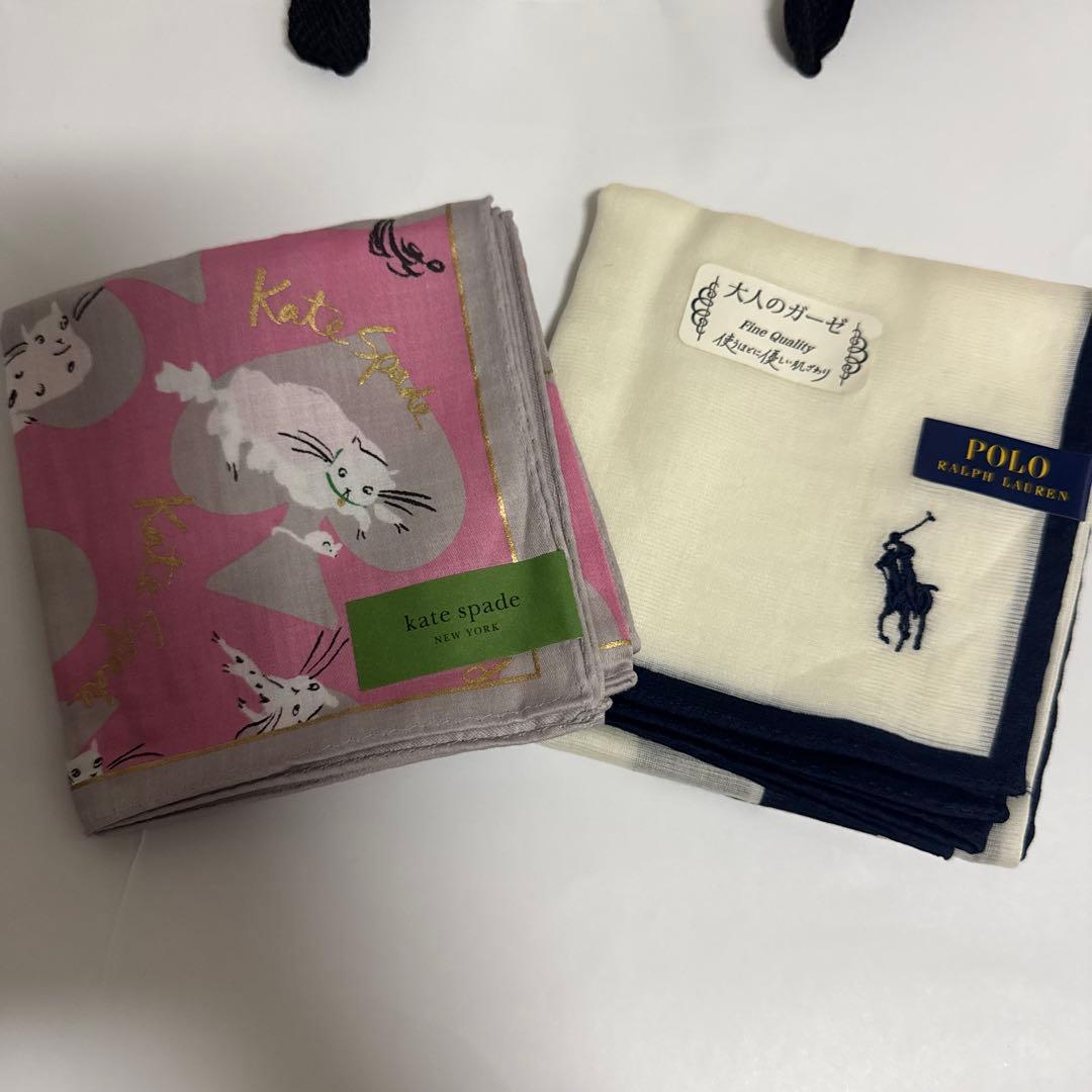 ★新品★ポロラルローレン　晴雨兼用パラソル　日傘１級遮光　スライド式　軽量　水色