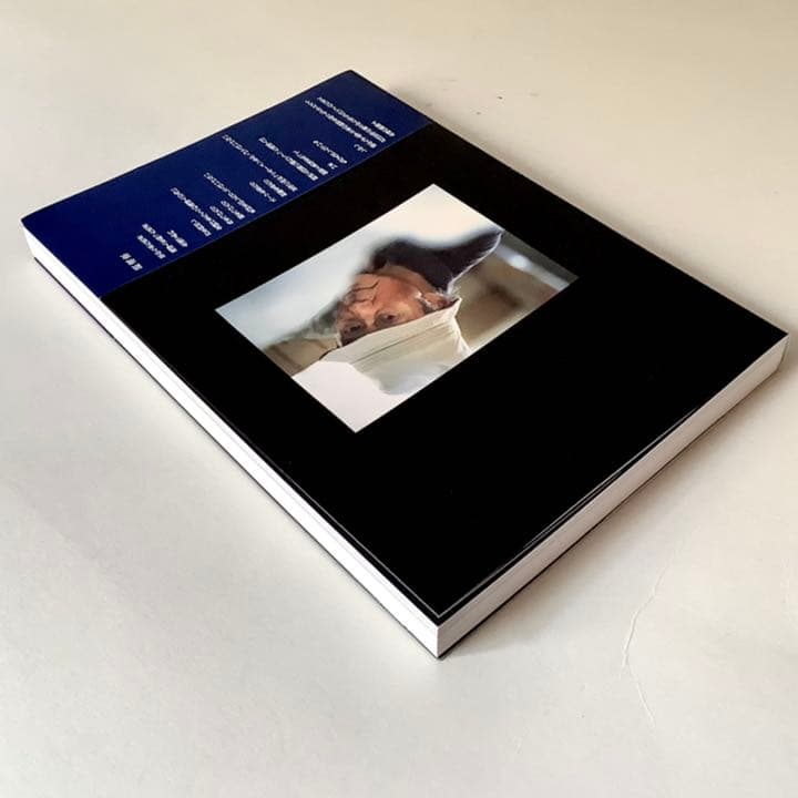 成田亨 眞実 ある芸術家の希望と絶望 成田亨遺稿集製作委員会