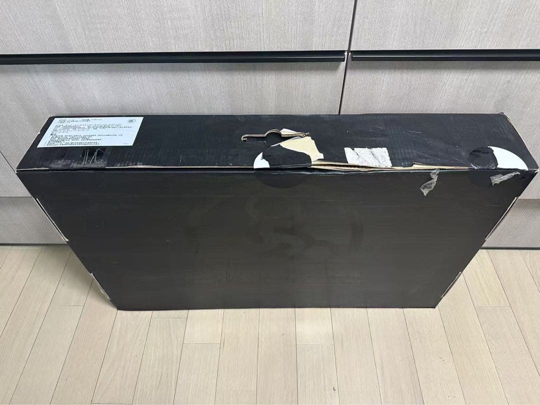 STRIDER ストライダー　数量限定　ST-R　カーボン　新品　箱訳あり