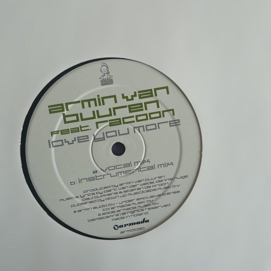 Armin van Buuren含むトランス・ハードハウスレコード10枚福袋
