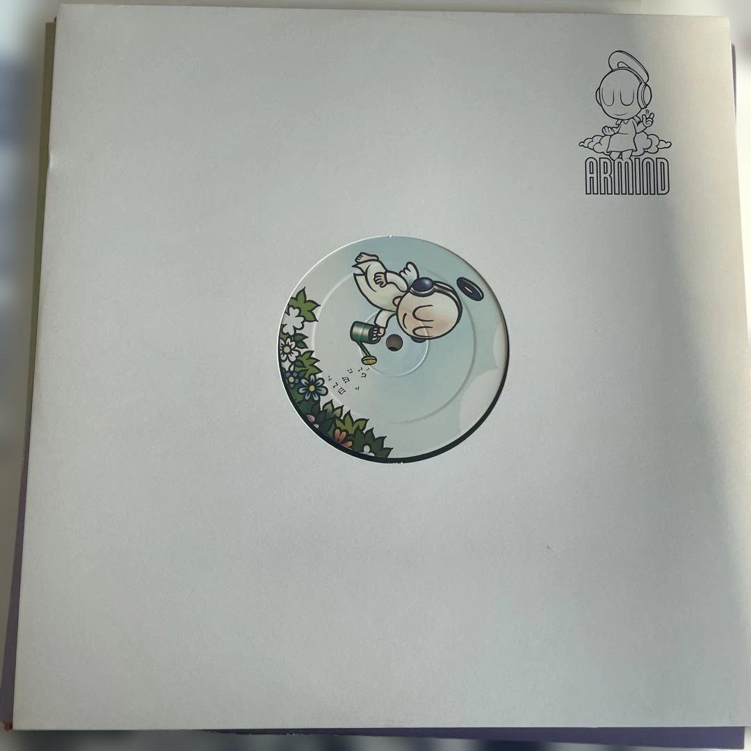 Armin van Buuren含むトランス・ハードハウスレコード10枚福袋