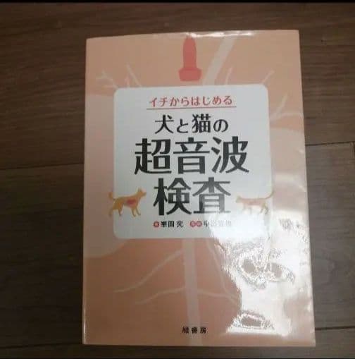 犬と猫のX線・超音波検査