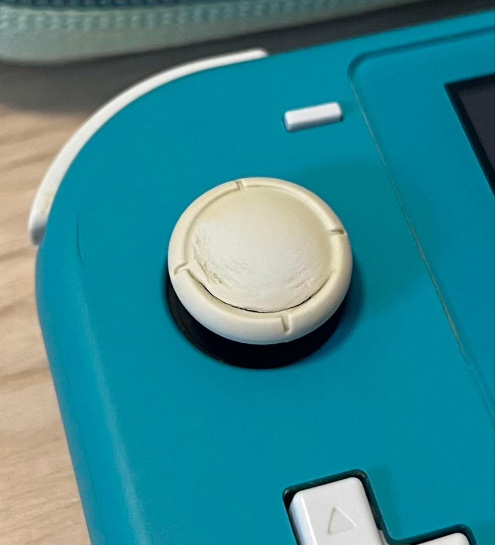 Switch lite 本体 純正充電器・ケース付き