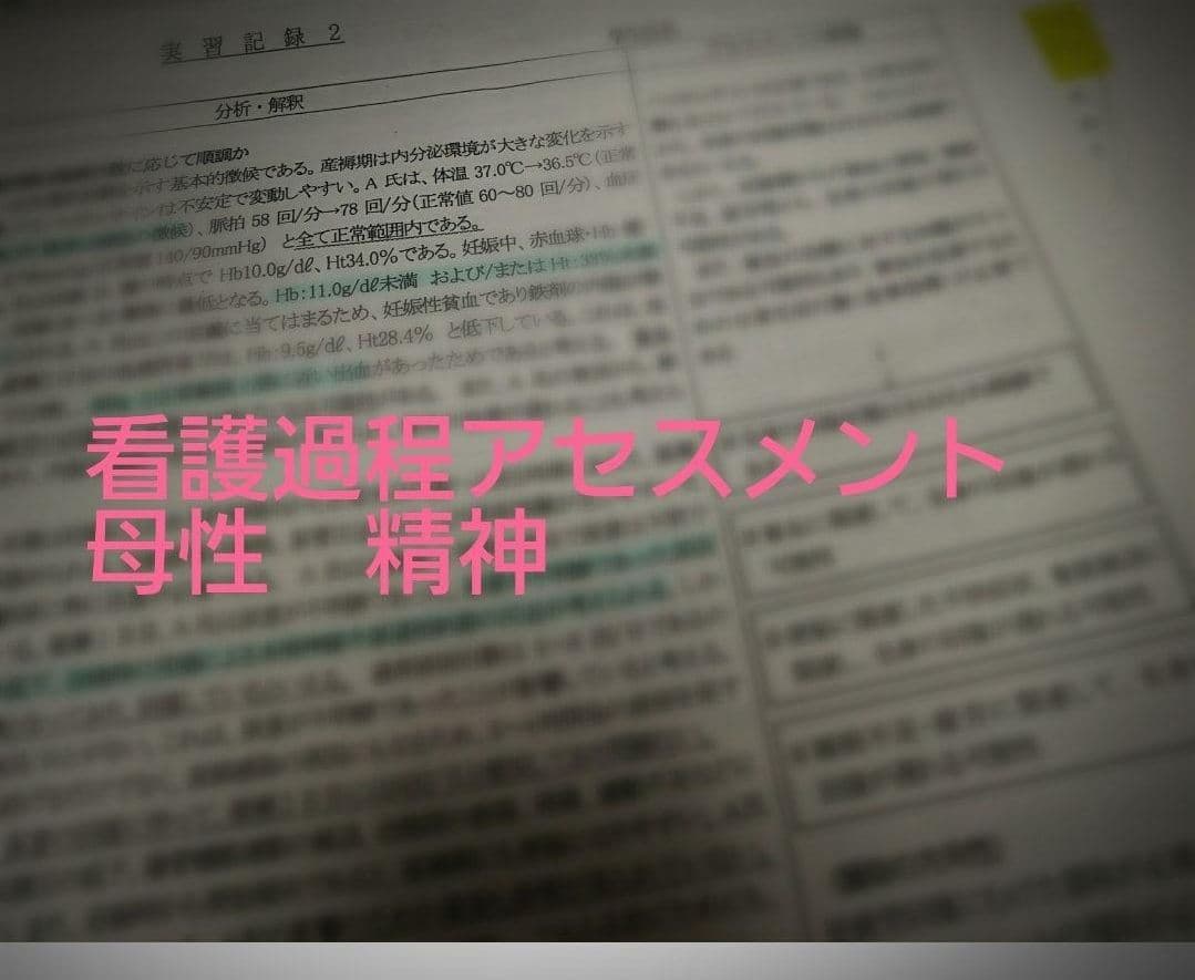 看護実習セット★　看護過程　アセスメント　看護目標　　手順書　看護学生　国家試験