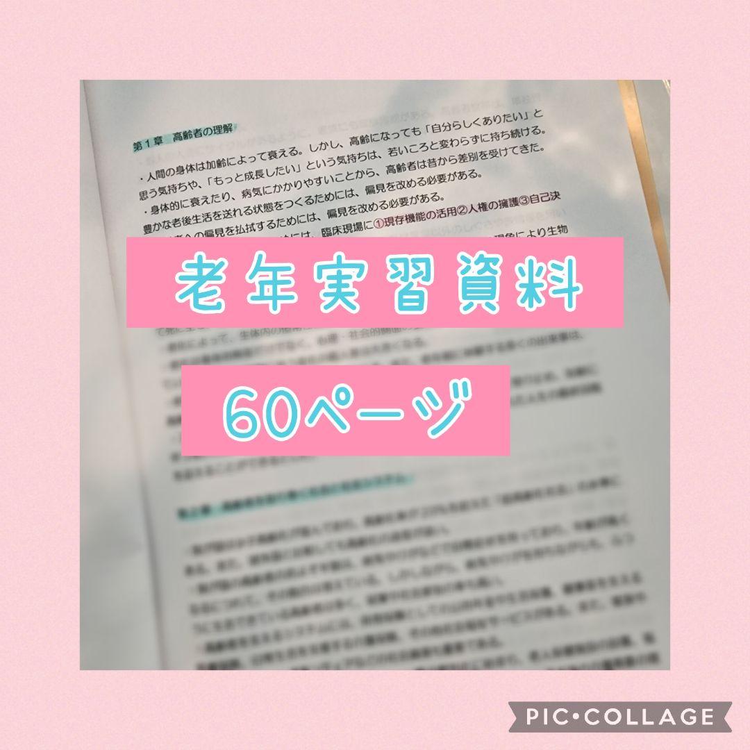 看護実習セット★　看護過程　アセスメント　看護目標　　手順書　看護学生　国家試験