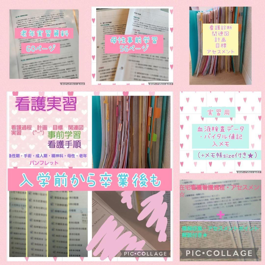 看護実習セット★　看護過程　アセスメント　看護目標　　手順書　看護学生　国家試験