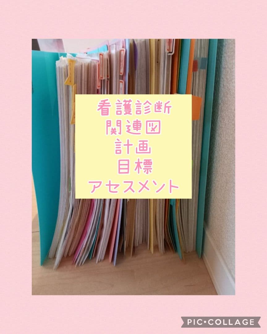 看護実習セット★　看護過程　アセスメント　看護目標　　手順書　看護学生　国家試験