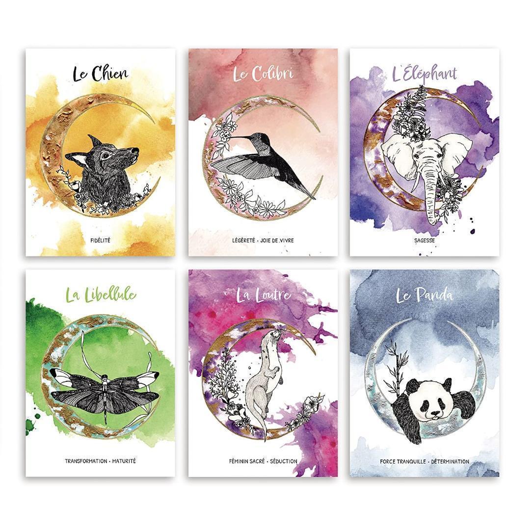 【正規品オラクルカード】優しく美しい動物のアート✨入手困難品✨動物の囁きのデッキ