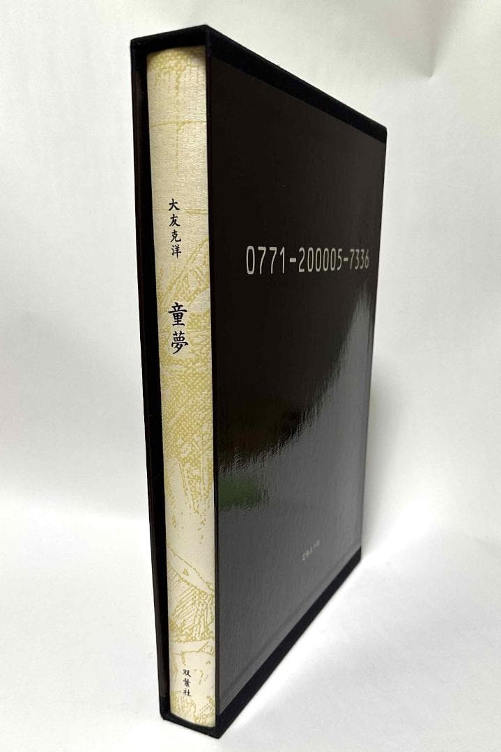 童夢 大友克洋 原画サイズ本