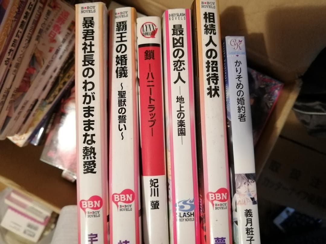 BL小説 161冊 まとめ売り