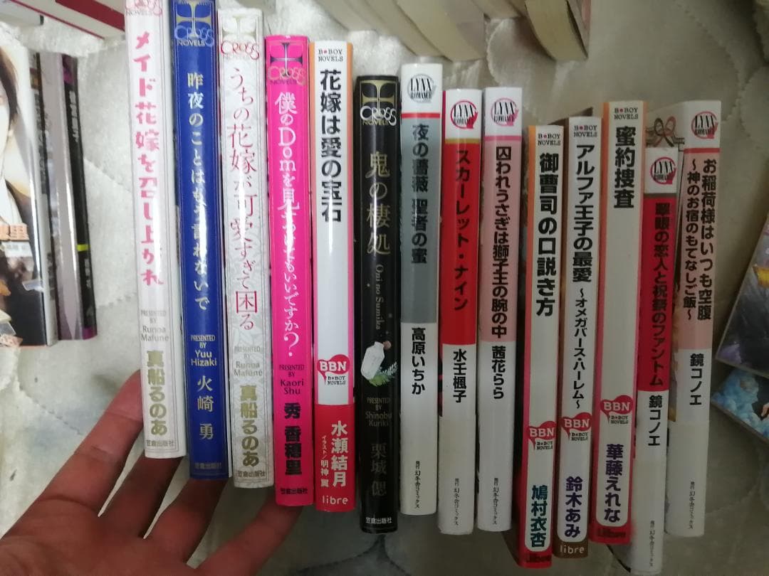 BL小説 161冊 まとめ売り