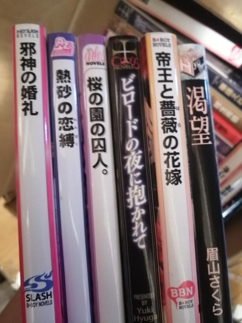 BL小説 161冊 まとめ売り