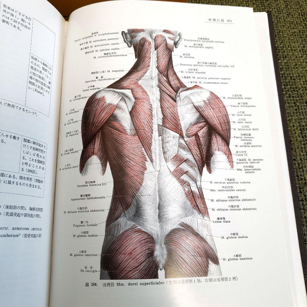 解剖学 1-3 セット