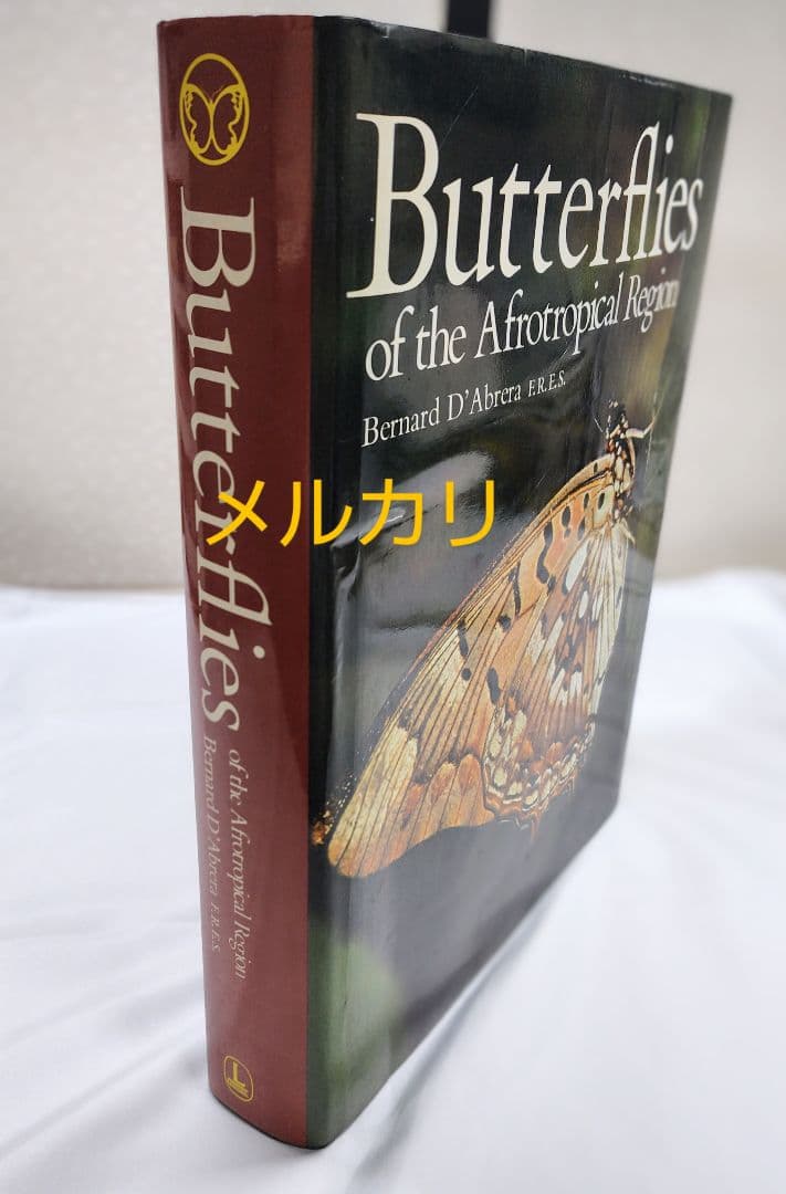 最終価格‼️Butterflies of Afrotropical アフリカ蝶