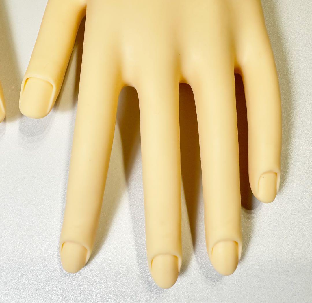 ネイリスト技能検定試験用 JNEC認定モデルハンド　STモデルハンド