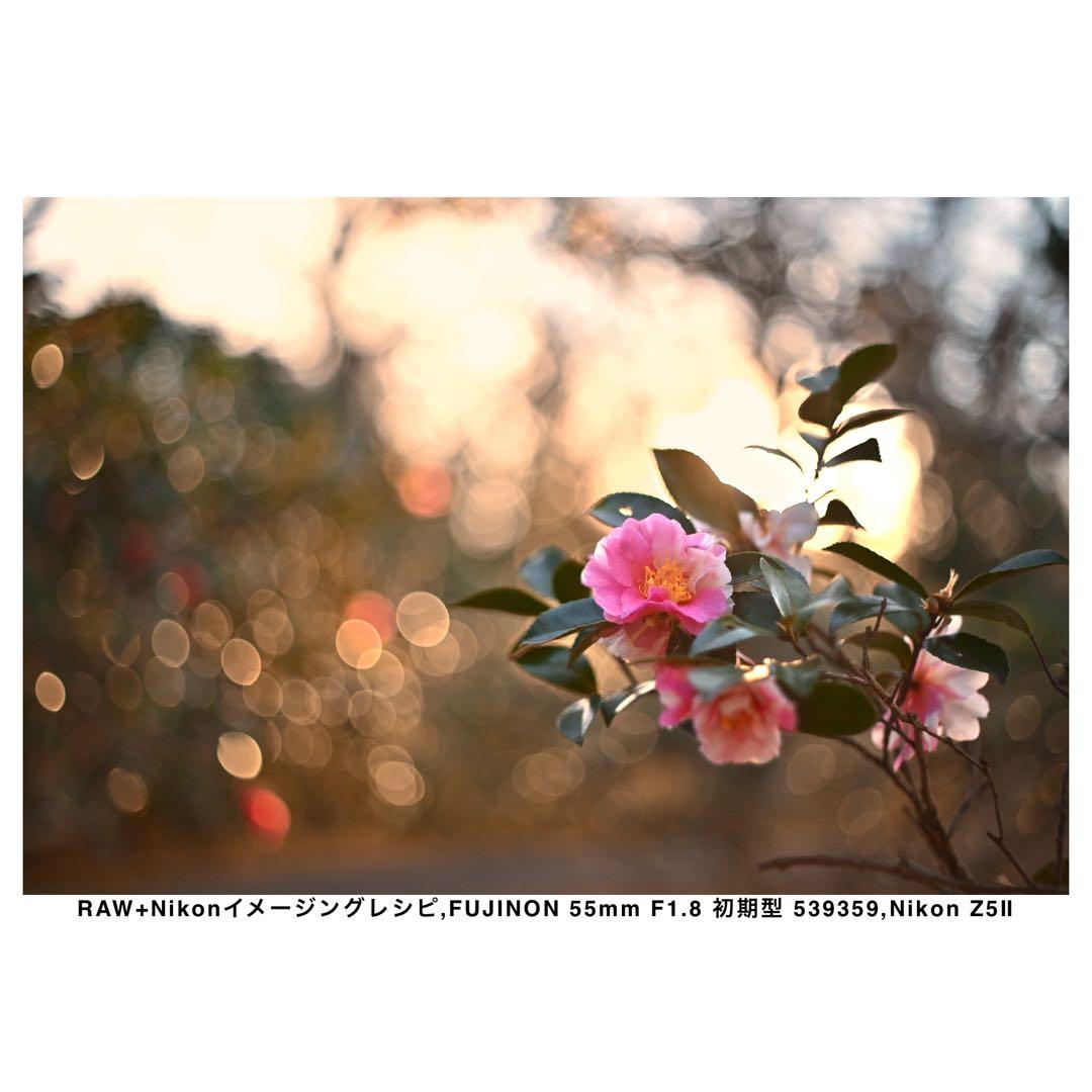 【整備済】FUJINON 55mm F1.8 初期型 M42 オールドレンズ