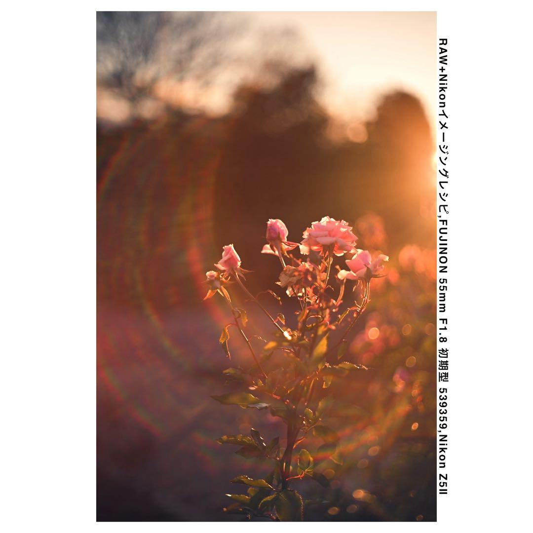 【整備済】FUJINON 55mm F1.8 初期型 M42 オールドレンズ