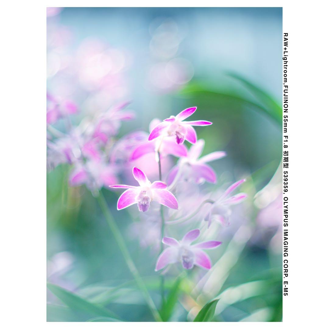 【整備済】FUJINON 55mm F1.8 初期型 M42 オールドレンズ