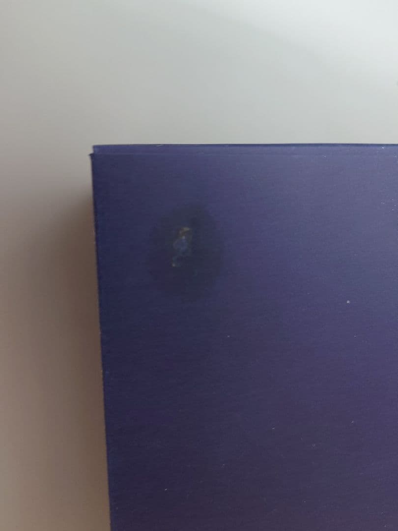 CHANEL シャネル クリスマスコフレ2025 ポーチ付き