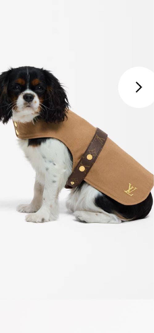 ルイヴィトン♡ドッグコートPM 試着のみ美品 正規品