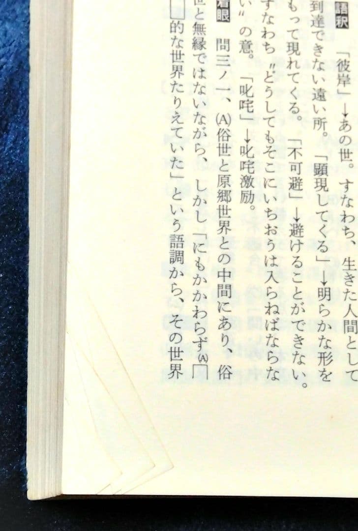 早稲田大学 法学部 赤本 ’８８ 教学社 古本