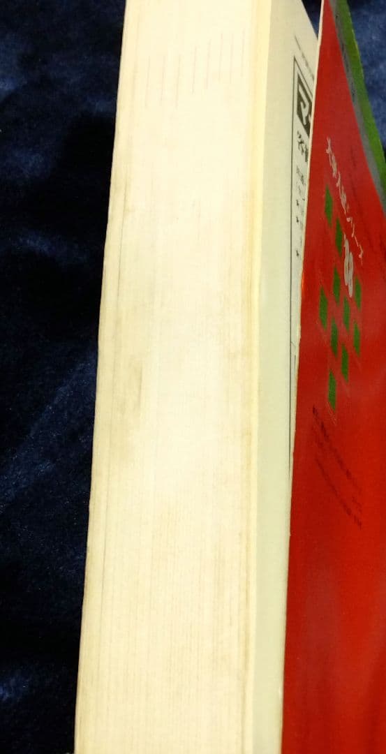 早稲田大学 法学部 赤本 ’８８ 教学社 古本