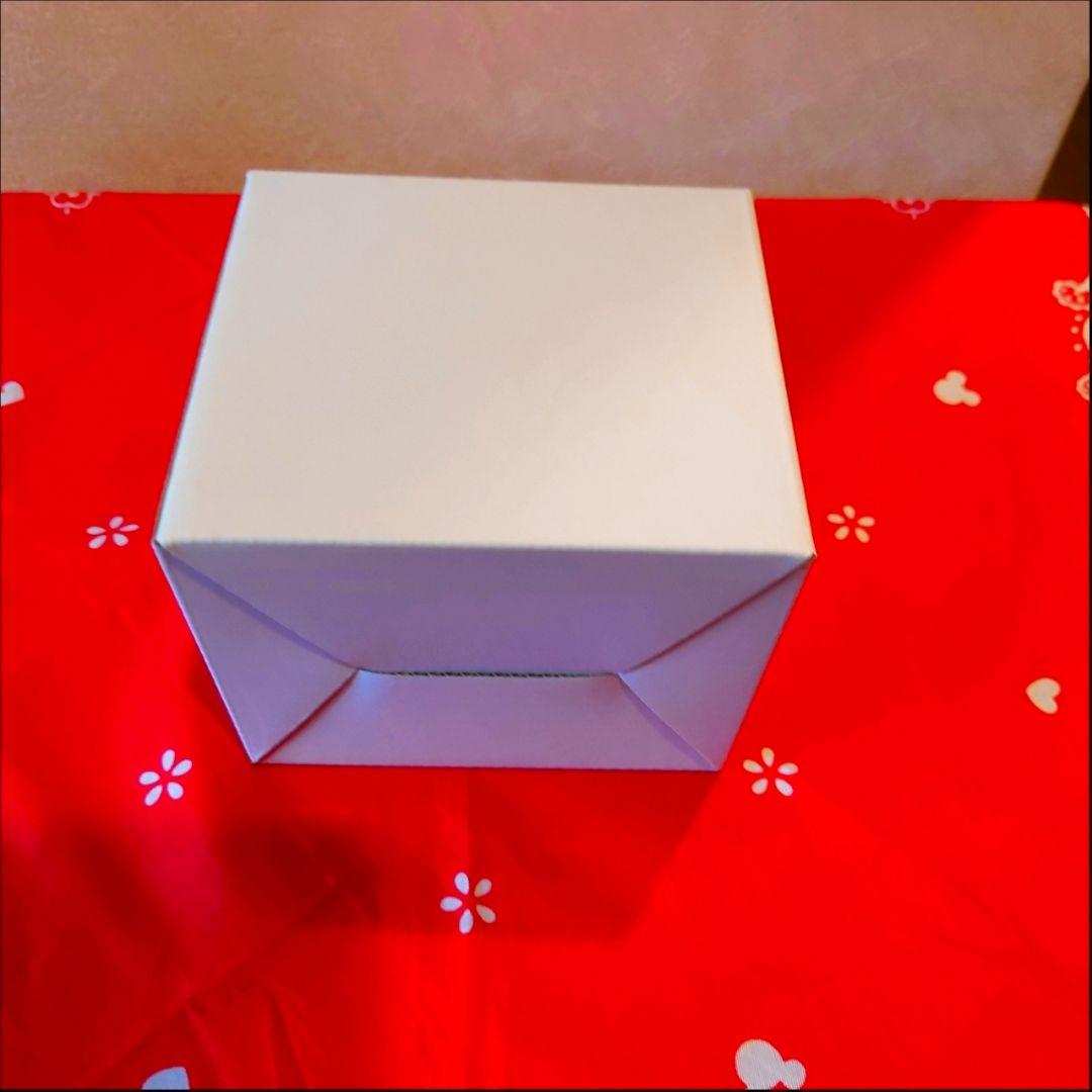 ゼルダの伝説 Tears of the Kingdom オリジナル特典付き