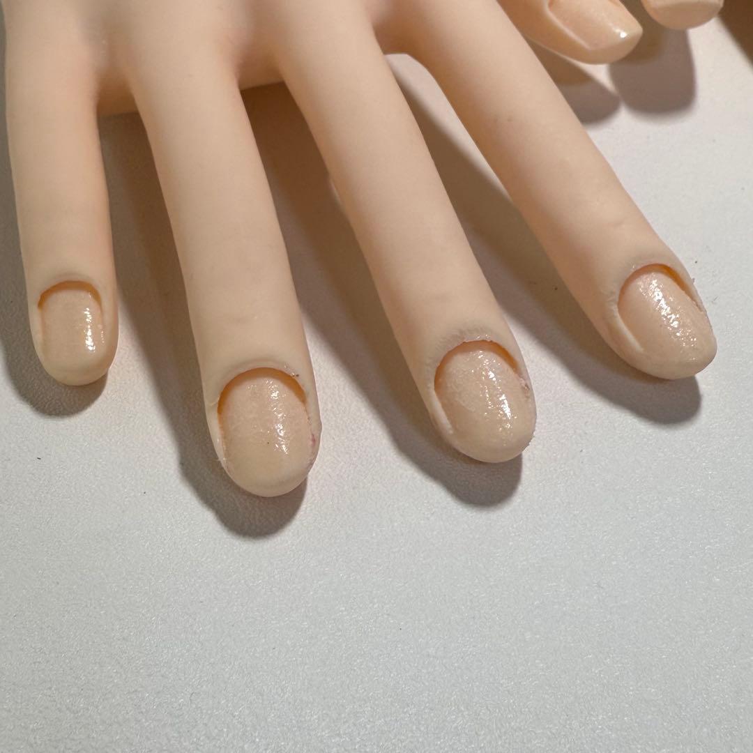 JNEC 認定モデルハンド 両手