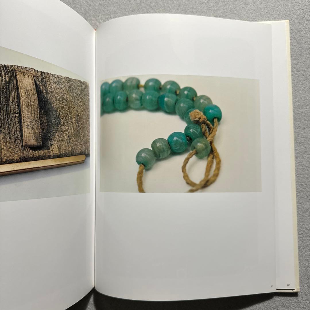 Miyako Ishiuchi 石内都 Frida by Ishiuchi