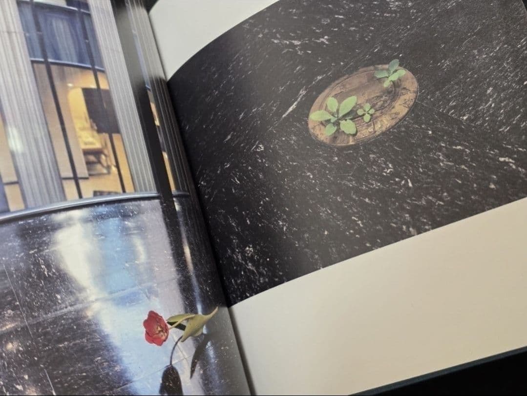 須田悦弘図録　渋谷区立松濤美術館　杉本博司川瀬敏郎　彫刻木彫　現代アート現代美術