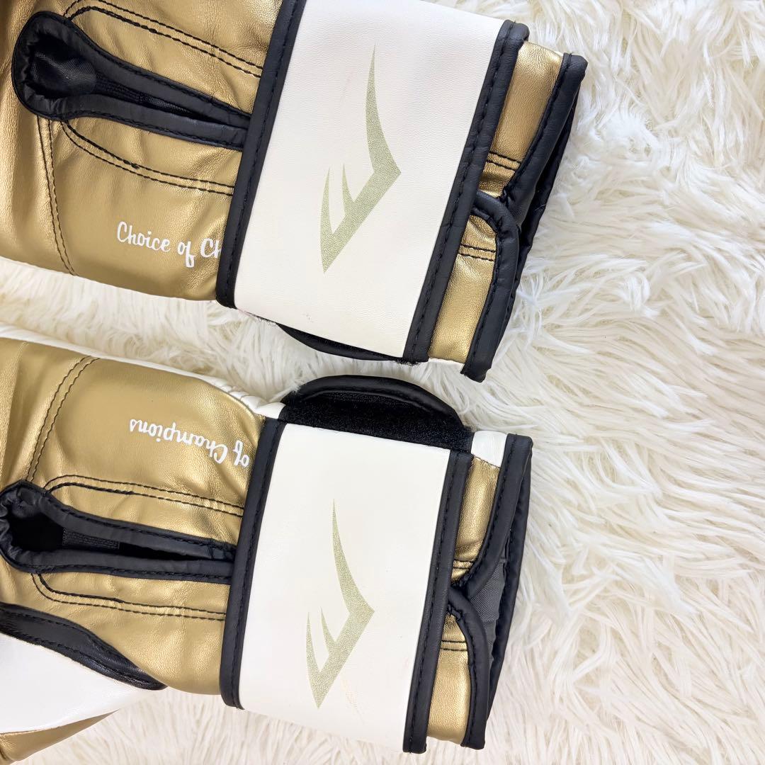ボクシング EverlastPowerlock Boxing Gloves