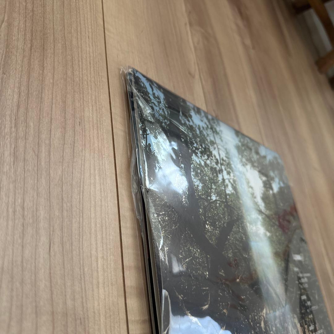 未再生！　ACIDMAN「創」完全生産限定／アナログ