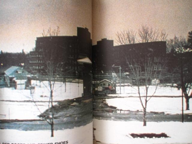 バッファロー’66 ビジュアル・ブック　Buffalo '66　初版　帯付