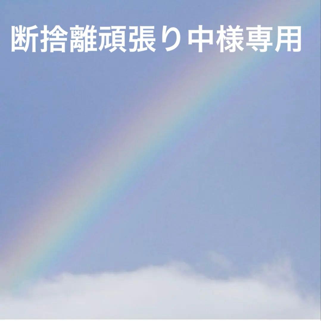 断捨離頑張り中