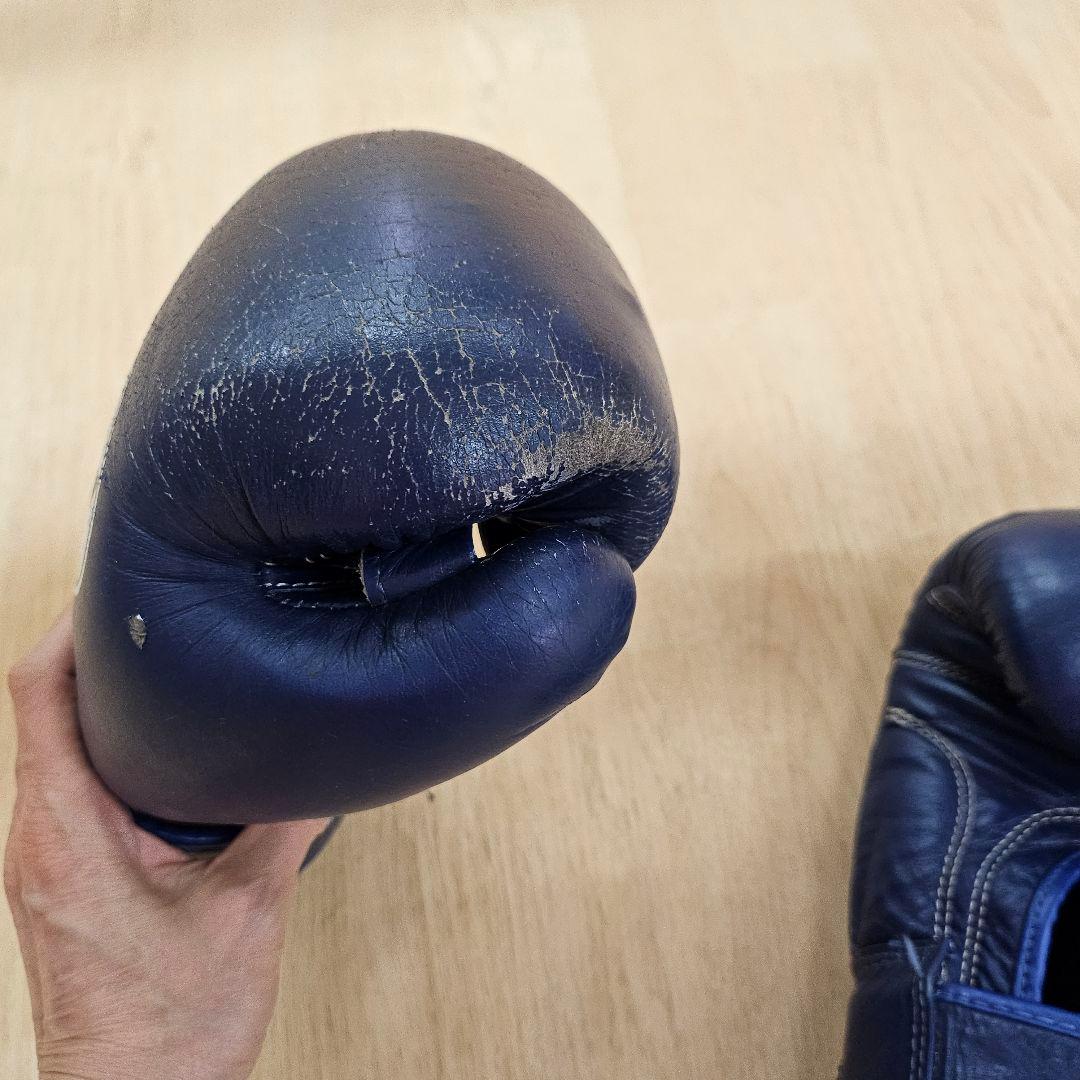 WINDY ボクシンググローブ 8 oz