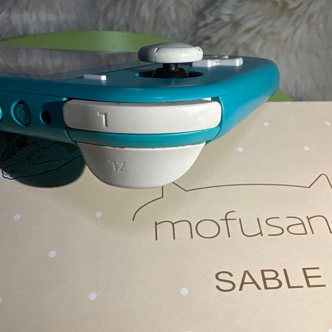 Switchライト本体のみ